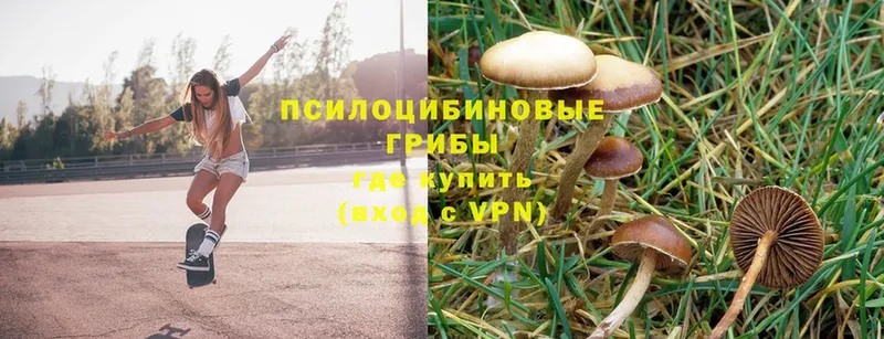 Галлюциногенные грибы MAGIC MUSHROOMS  купить наркотики сайты  Осташков 